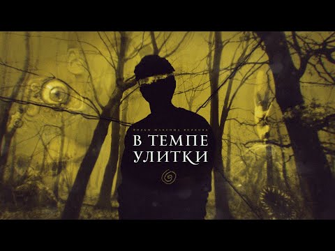 Видео: В ТЕМПЕ УЛИТКИ | ДОКУМЕНТАЛЬНЫЙ ФИЛЬМ