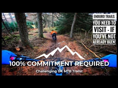 Видео: Катался хорошо, пока всё не пошло не так! Dunkeld MTB Trails с @McTrailRider