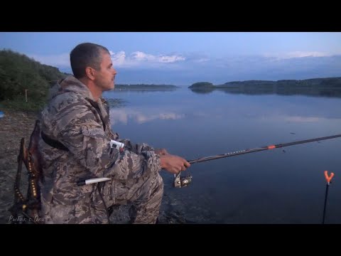 Видео: Рыбалка на Оке на удочку в ночь 2022 ! Поплавок  Светлячок! 1 СЕРИЯ