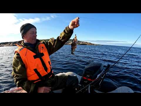 Видео: Белое море, кандалакшский залив. День 1. Первая рыба, удачный опыт. Горбуши нет.