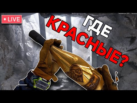 Видео: ФАРМИМ КРАСНЫЕ ПРЕДМЕТЫ, ДЕНЬ 8 - Delta Force Mobile