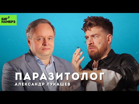 Видео: 🦟 Клещи и комары придут за вами | ПАРАЗИТОЛОГ АЛЕКСАНДР ЛУКАШЕВ