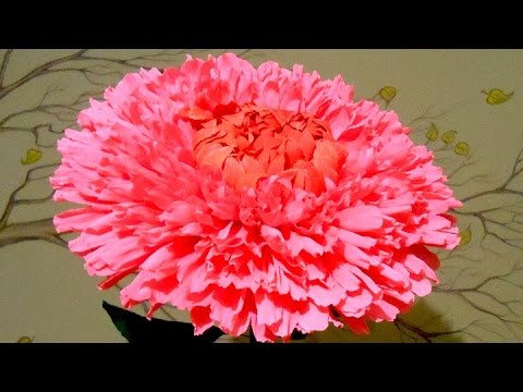 Видео: Красивый гигантский цветок из гофрированной бумаги - хризантема, мастер класс