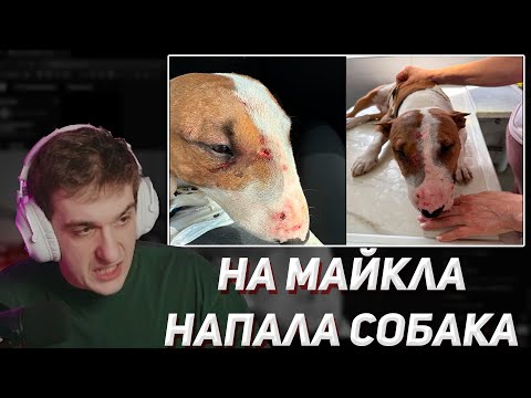 Видео: ЭВЕЛОН РАССКАЗЫВАЕТ КАК НА МАЙКА НАПАЛА СОБАКА | EVELONE2004