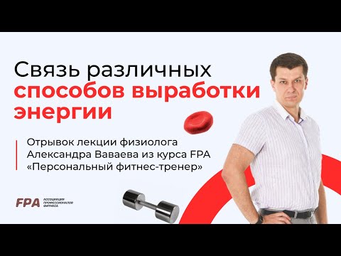 Видео: Связь различных способов выработки энергии | Александр Ваваев (FPA)