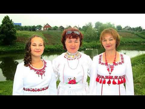 Видео: Музыкальное поздравление 20 11 2021 года