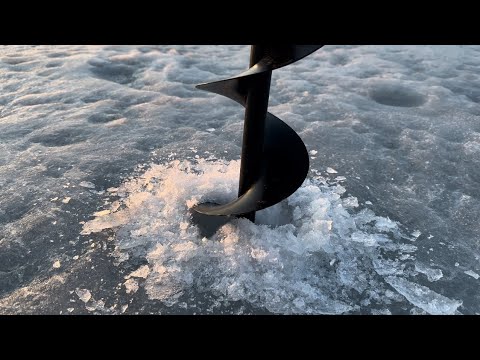 Видео: В погоне за навагой и зубарем | Зимняя рыбалка