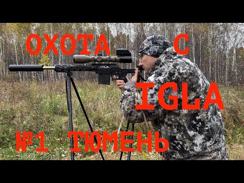 Видео: "Охота с IGLA",  выпуск 1, Тюмень: охота на енотовидную собаку, лисицу и кабана.