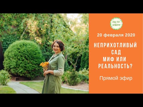 Видео: Неприхотливый сад: миф или реальность