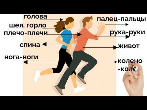 Видео: Части тела. Body parts. Körperteile.