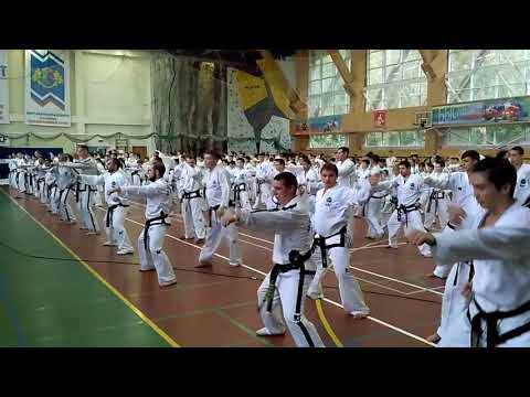 Видео: Часть8 Таеквон-До ИТФ Семинар Jurek Jedut Jaroslav Suska 2017 Taekwon-Do ITF Seminar