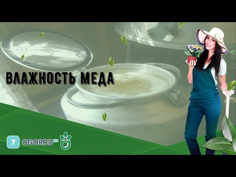 Видео: Влажность меда