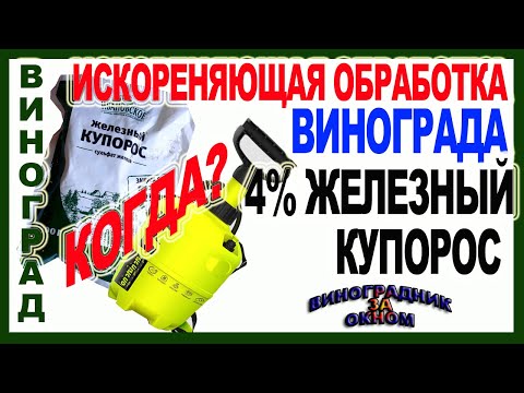 Видео: 🍇 4% железный купорос ! Срочно обработать виноград перед укрытием? Насколько важна эта обработка?