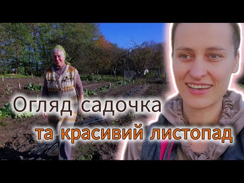 Видео: ВЛОГ, садок замість города