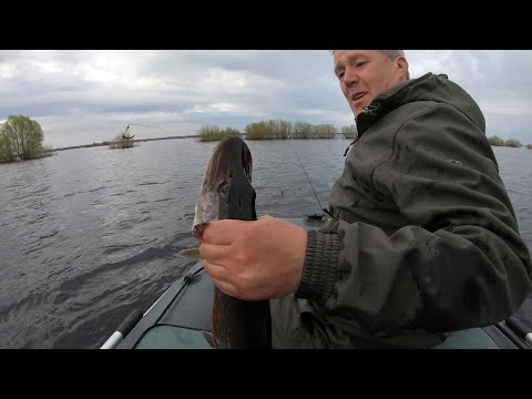 Видео: Ловля щуки на вертушки.  Рука-щука в действие) Рыбалка на Ильмене 2022. Рыбалка на щуку.