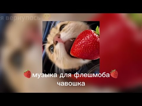 Видео: музыка для флешмоба!!🫶🏻//песни из тт//2024-2025г😛//🍓//