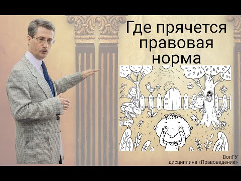 Видео: Где прячется правовая норма