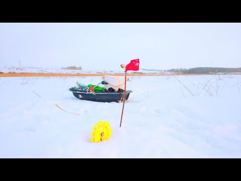 Видео: РЫБАЛКА НА ЖЕРЛИЦЫ.ВНЕЗАПТНО НАЧАЛИСЬ СРАБОТКИ.