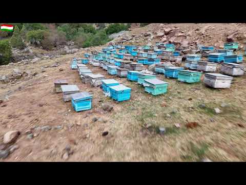 Видео: Таджикистан 🇹🇯. #camping #Таджикистан​​#nature​​#followtajikistan​​ #djiair3​​#реки #river#riverside