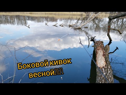 Видео: Боковой кивок в корчах затопленного дерева, ранней весной.