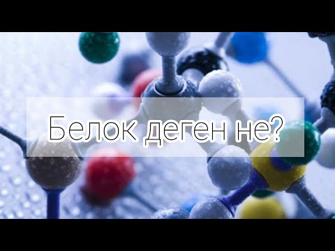 Видео: Белок деген не? | қазақша