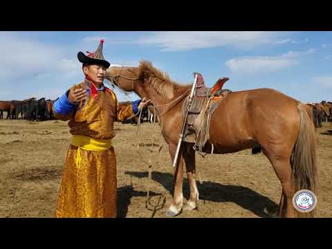 Видео: ADUUTAI NAMAR Адуутай намар Хэнтий аймаг Баянмөнх сумын Соёлын төвийн Хөгжмийн багш Ж.Баасансүх