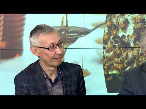 Видео: Новые ветеринарные правила содержания пчёл