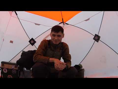 Видео: Пелчири сошли с ума 😱                      Бешеный поклёвки попал на жор 😋