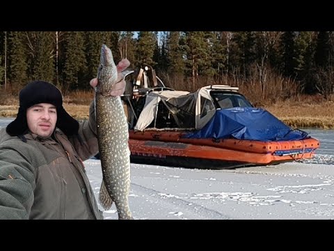 Видео: первый лёд. снимаем сливки. ловля на жерлицы