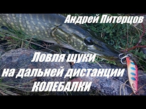 Видео: Ловля щуки на дальней дистанции. Ловля на колеблющиеся блесны.