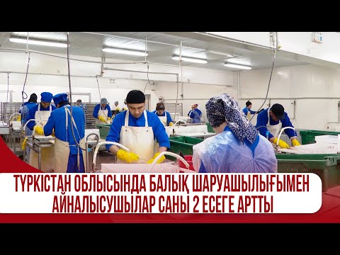 Видео: Түркістан облысында балық шаруашылығымен айналысушылар саны 2 есеге артты