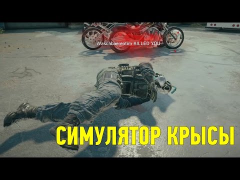 Видео: Rainbow Six Siege: Симулятор Крысы + SLG