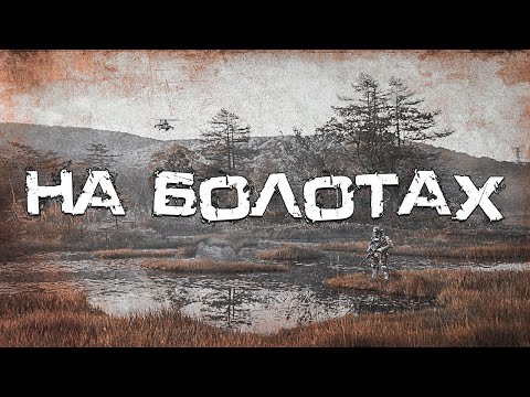 Видео: S.T.A.L.K.E.R. На Болотах. Умный Контролер