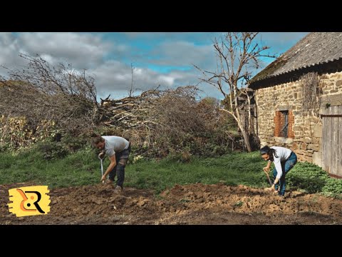 Видео: Боевое крещение! Засыпка, электропроводка и наш первый почтовый ящик (Эпизод 28)