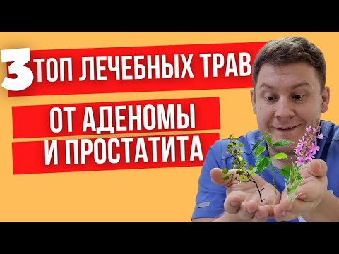 Видео: Самые эффективные лечебные травы от аденомы и простатита