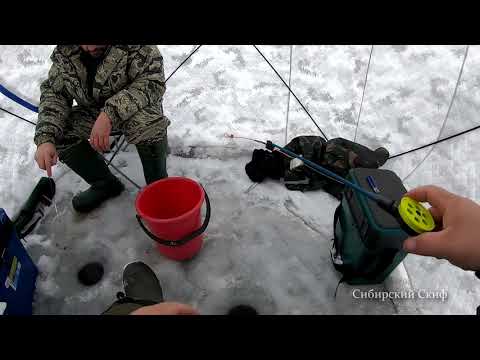 Видео: Рыбалка на болоте. Ловля ротана по первому льду