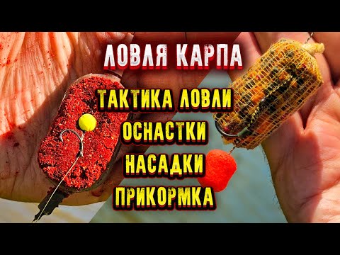 Видео: Рыбалка на ФЛЭТ  ФИДЕР и КАРПОВЫЕ МОНТАЖИ карпфишинг