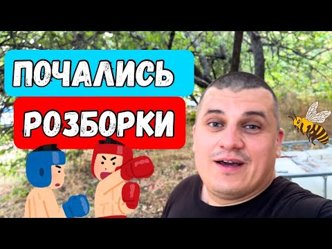 Видео: Почались Розборки! 🤦‍♂️ А ми швидко роздали 600л.🐝😉