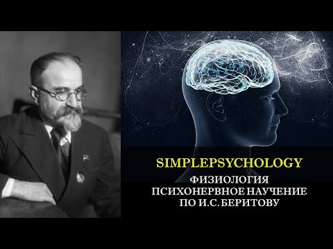Видео: Физиология. Психонервное научение по И.С. Беритову.
