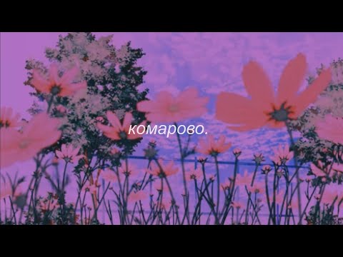 Видео: ⋘игорь скляр - комарово⋙ slowed + reverb