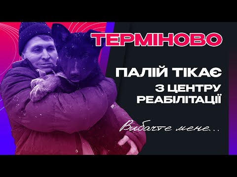 Видео: ТЕРМІНОВО! Палій тікає з центру реабілітації.