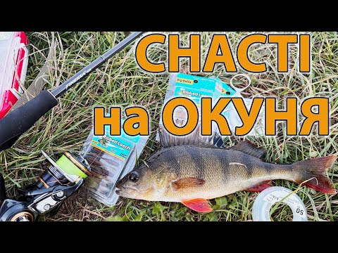 Видео: СНАСТІ НА ОКУНЯ !!! СИЛІКОН ШНУРИ КАТУШКИ ГАЧКИ СПІНІНГ  ловля окуня на мікроджиг