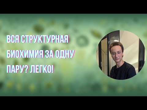 Видео: Структурная биохимия: твёрдо и чётко | Тимофей Рыко