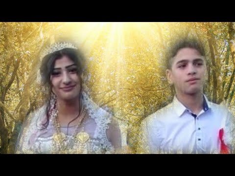 Видео: 09.10.2022 Баграмян Рябина Цыганская свадьба Волгоград