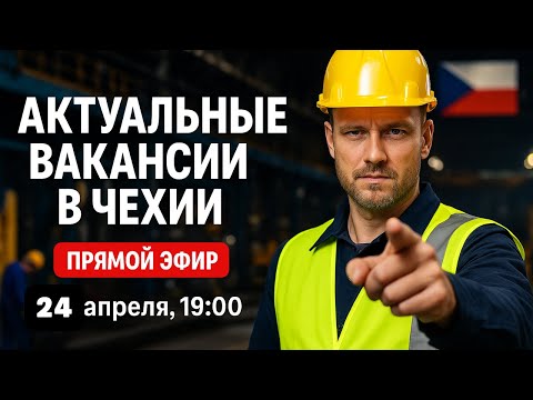 Видео: Актуальные вакансии в Чехии — Прямой эфир от Emigrant | Работа в Чехии 2025