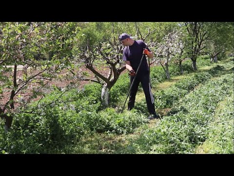 Видео: Първото косене за сезона ! Време е за малко пролетно настроение !