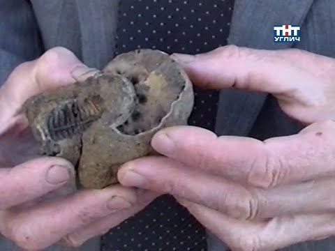 Видео: Наедине с природой. Аммониты | 2006