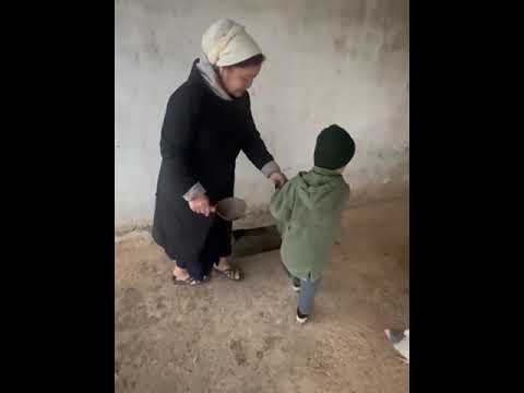 Видео: "Бақытты отбасы"