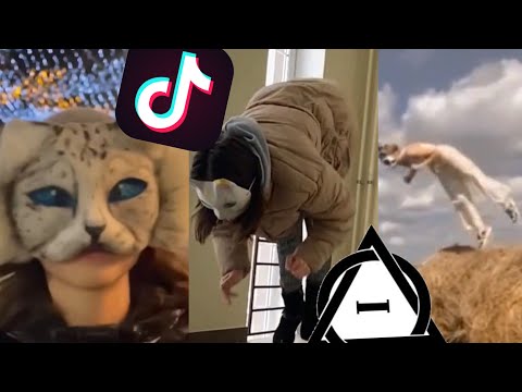 Видео: Квадробика из тик тока~|| 2 часть