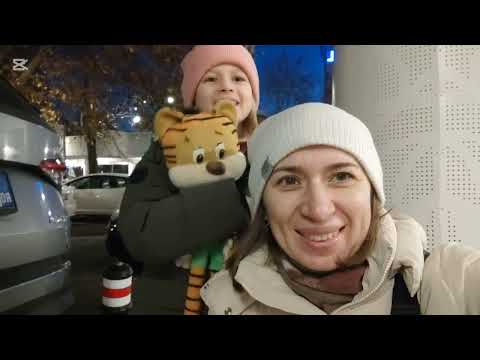 Видео: Крайова. Новогодняя ярмарка. Румыния. 2.01.2025